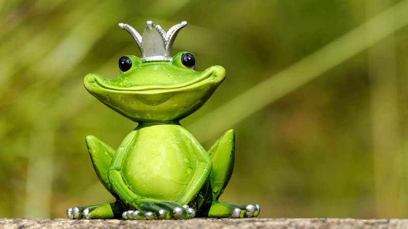 mo thay ech 2 Nằm mơ thấy tiếng ếch kêu